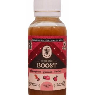 SHOT BOOST 60 ML VIDA BEBIDA