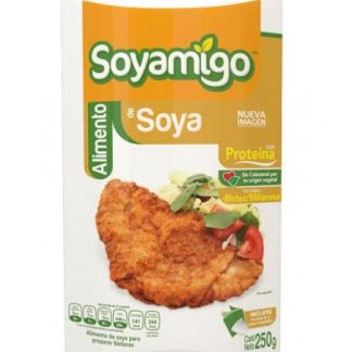 SOYAMIGO ALIMENTO DE SOYA SABOR BISTEC MILANESA 250GR SOYAMIGO