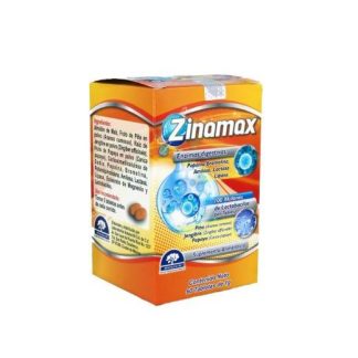 TBS. ZINAMAX PIña JENGIBRE Y PAPAYA C 60 1GR LAB. NATUTECH