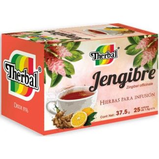TE DE JENGIBRE 25 SOB THERBAL