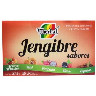 TE DE JENGIBRE SABORES 25 SOB THERBAL