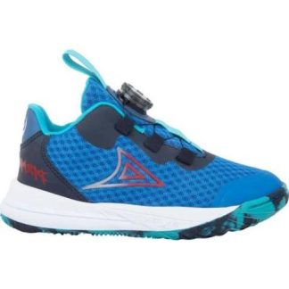 TENIS BASKETBALL AZUL REY PIRMA