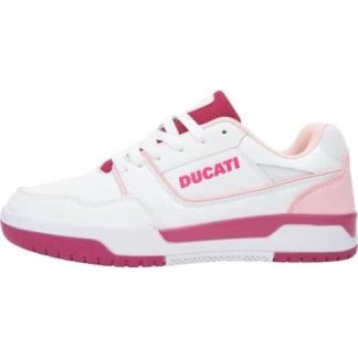 TENIS URBANO CAJA BLANCO DUCATI