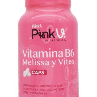 VITAMINA B6 30 CAP PINK V