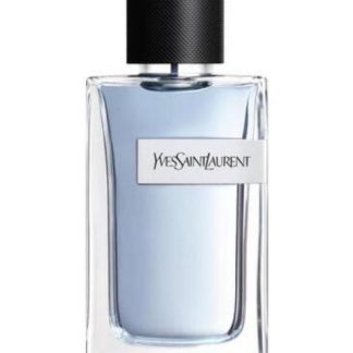 Y YVES SAINT LAURENT EDT HOMBRE 100ML