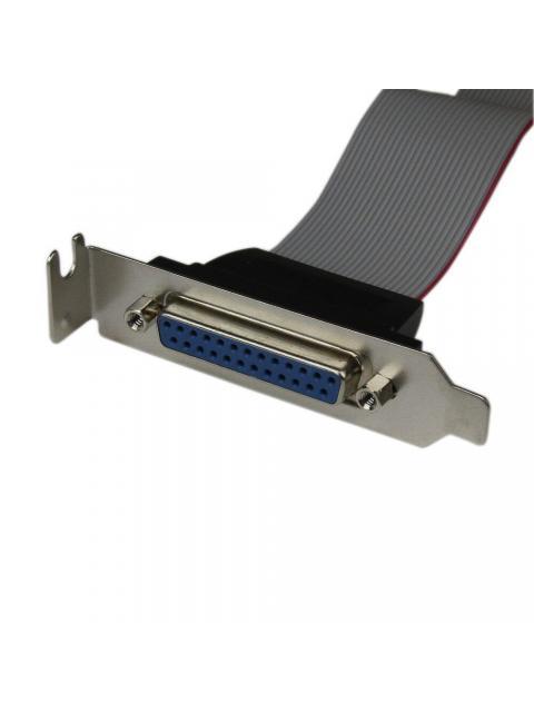 STARTECH ADAPTADOR BRACKET PARALELO DB25 HEMBRA - IDC 26 HEMBRA 40CM - Imagen 3