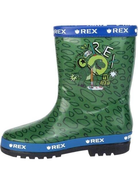 BOTA DE LLUVIA REX VERDE TOY STORY