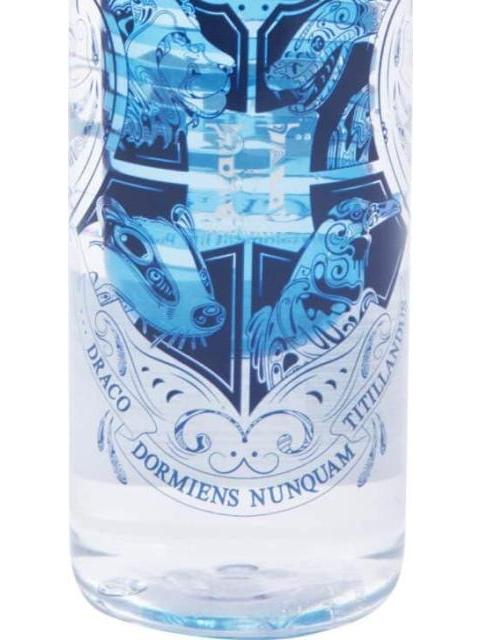 BOTELLA INFUSOR HARRY POTTER 1200 ML MULTICOLOR HARRY POTTER - Imagen 4
