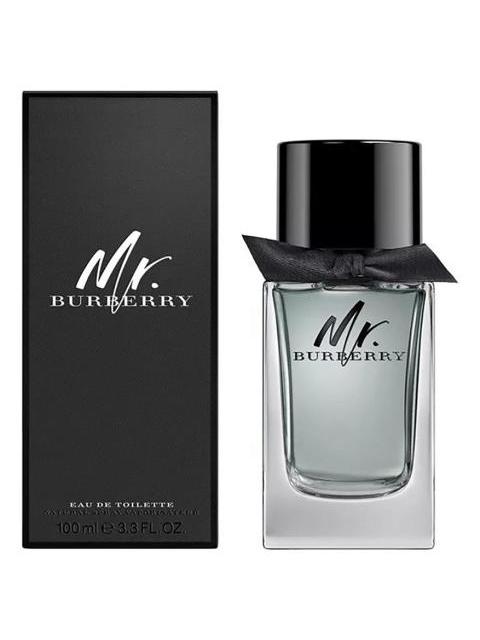 BURBERRY MR. BURBERRY 100ML EDT
