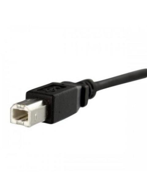 STARTECH  CABLE USB DE MONTAJE EN PANEL USB B MACHO - USB B HEMBRA 30CM NEGRO - Imagen 6