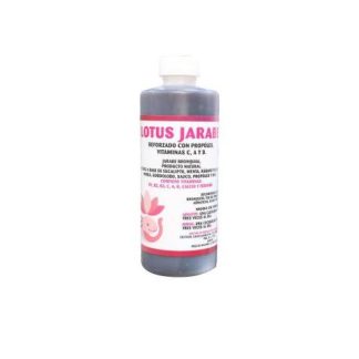 COLAGENO HIDROLIZADO CELULAS MADRE 1.200 KG SABOR ARANDANO GRANAD MIEL SALUD Y VIDA