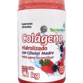 COLAGENO HIDROLIZADO FRUTOS ROJOS 1.1 KG TECNONATURA