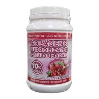 COLAGENO HIDROLIZADO TIPO 2 Y 3 1.100 KG SABOR NARANJA MIEL SALUD Y VIDA