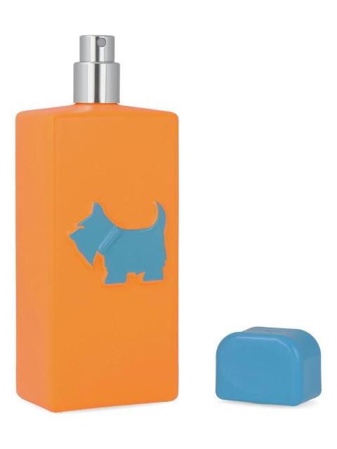 FERRIONI NEON HEY DUDE 100 ML EDT SPRAY - CABALLERO - Imagen 3