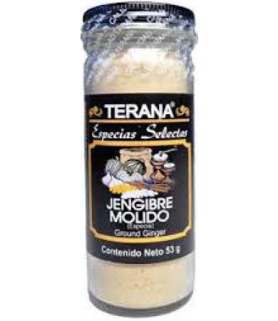 JENGIBRE 53 G TERANA
