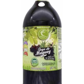 JUGO DE MAGUEY ASADO CON 10 PLANTAS 1 L VERDE SANTO