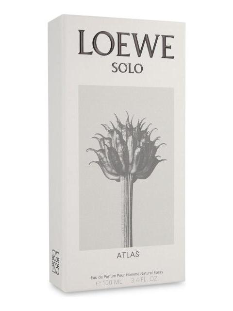 LOEWE SOLO ATLAS 100ML EDP SPRAY - CABALLERO - Imagen 3