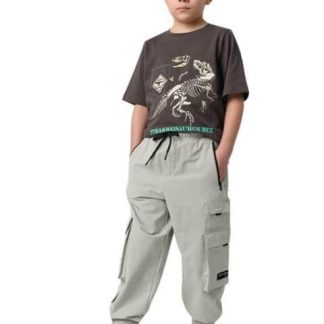 PANTALON JOGGER GRIS NEXT CO