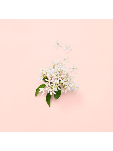 PERFUME GUCCI BLOOM 100ML EAU DE PARFUM FLORAL MUJER - Imagen 9