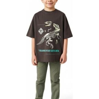 PLAYERA DINOSAURIO GRIS NEXT CO