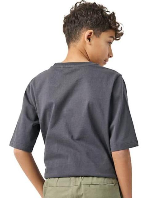 PLAYERA DINOSAURIO GRIS NEXT CO - Imagen 4