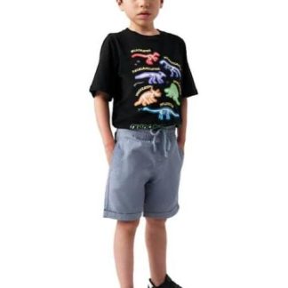 PLAYERA DINOSAURIO NEGRO NEXT CO