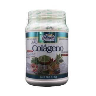 POLVO ACIDO HIALURONICO SABOR COCO 1.100 KG COLAGENO BIOTINA KERA SOLO PARA DIABETICOS