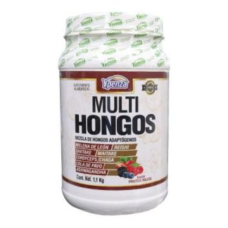 POLVO MULTI HONGOS SABOR FRUTOS ROJOS 1.100KG MEZCLA DE HONGOS AD SOLO PARA DIABETICOS