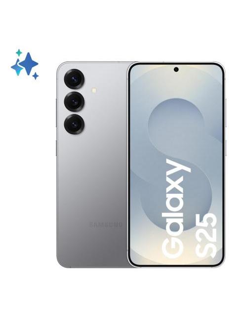 samsung_galaxy_s25_256gb_silver_shadow_2_191933