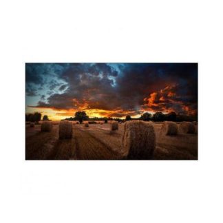 SAMSUNG VM55B-U PANTALLA COMERCIAL 55 FULL HD NEGRO