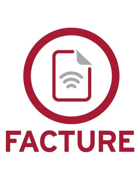 SOFTWARE SISTEMA BASE FACTURE 6.0 1 USR. 1 RFC. ANUAL FACT12 V (ELECTRONICO)