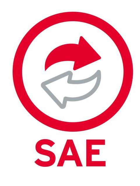 SOFTWARE SISTEMA BASE SAE 10 1 USR. 99 EMP. NUEVO SAE1N (FISICO)