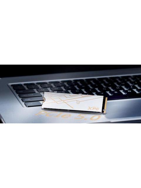 SSD XPG MARS 980 BLADE NVME 2 TB M.2 13000 MB-S ESCRITURA 14000 MB-S LECTURA PCI EXPRESS 5.0 - Imagen 3