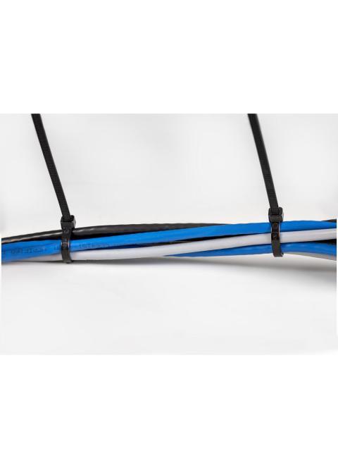 startech_cincho_de_nylon_cbmzt8b_20cm_x_5mm_negro_100_piezas_2_185889