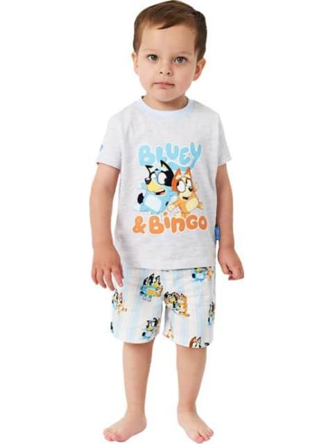 STITCH CAMPO EDITABLE GRIS BLUEY
