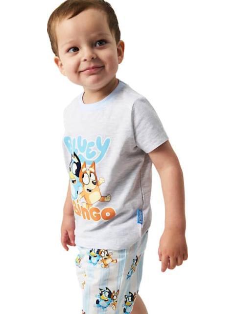 STITCH CAMPO EDITABLE GRIS BLUEY - Imagen 3