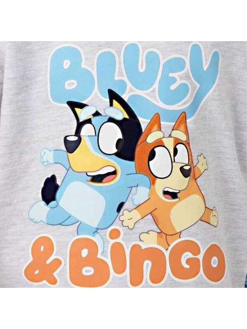 STITCH CAMPO EDITABLE GRIS BLUEY - Imagen 6