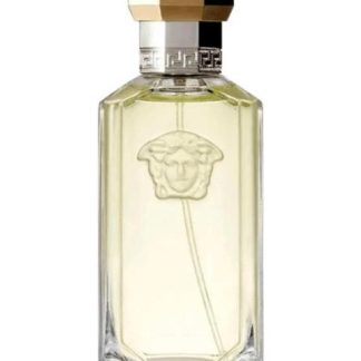 VERSACE THE DREAMER EAU DE TOILETTE 100 ML PARA HOMBRE